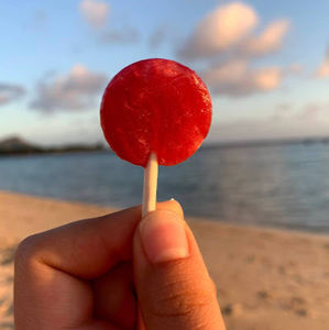 Meet your Posher, Megu